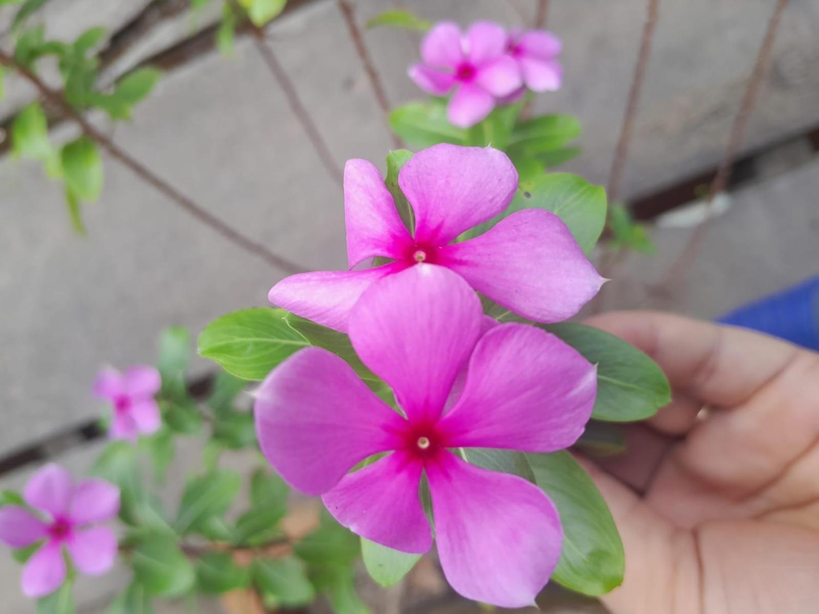 해피 패밀리 게스트하우스 Vĩnh Long 외부 사진